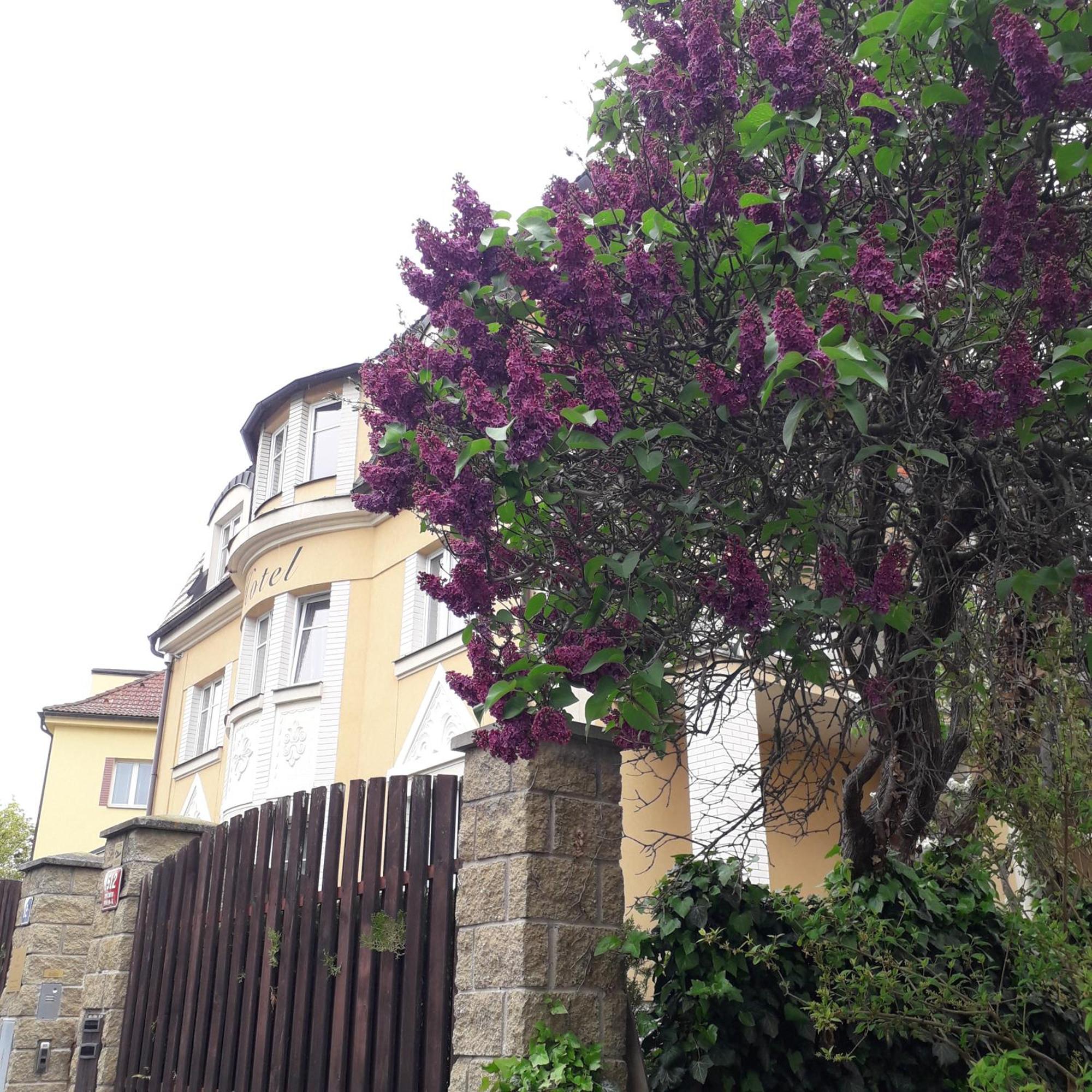 Hotel Garni Rambousek Prague Exterior photo
